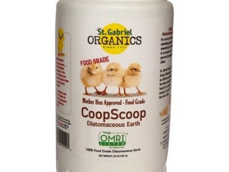 Coopscoop Diatomaceous Earth Food Grade 20 Oz by Coopscoop Cheap